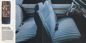 1981 Plymouth Reliant-08-09.jpg